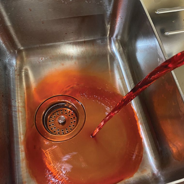 Detect+ RED Alimentaire-2