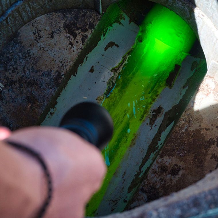 Detect+ Yellow Fluorescent-2