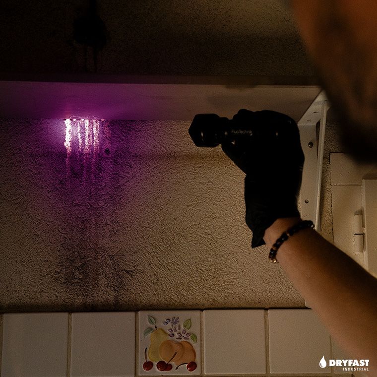 KIT-UVF + UV MAX PURPLE-2